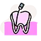 Endodoncista