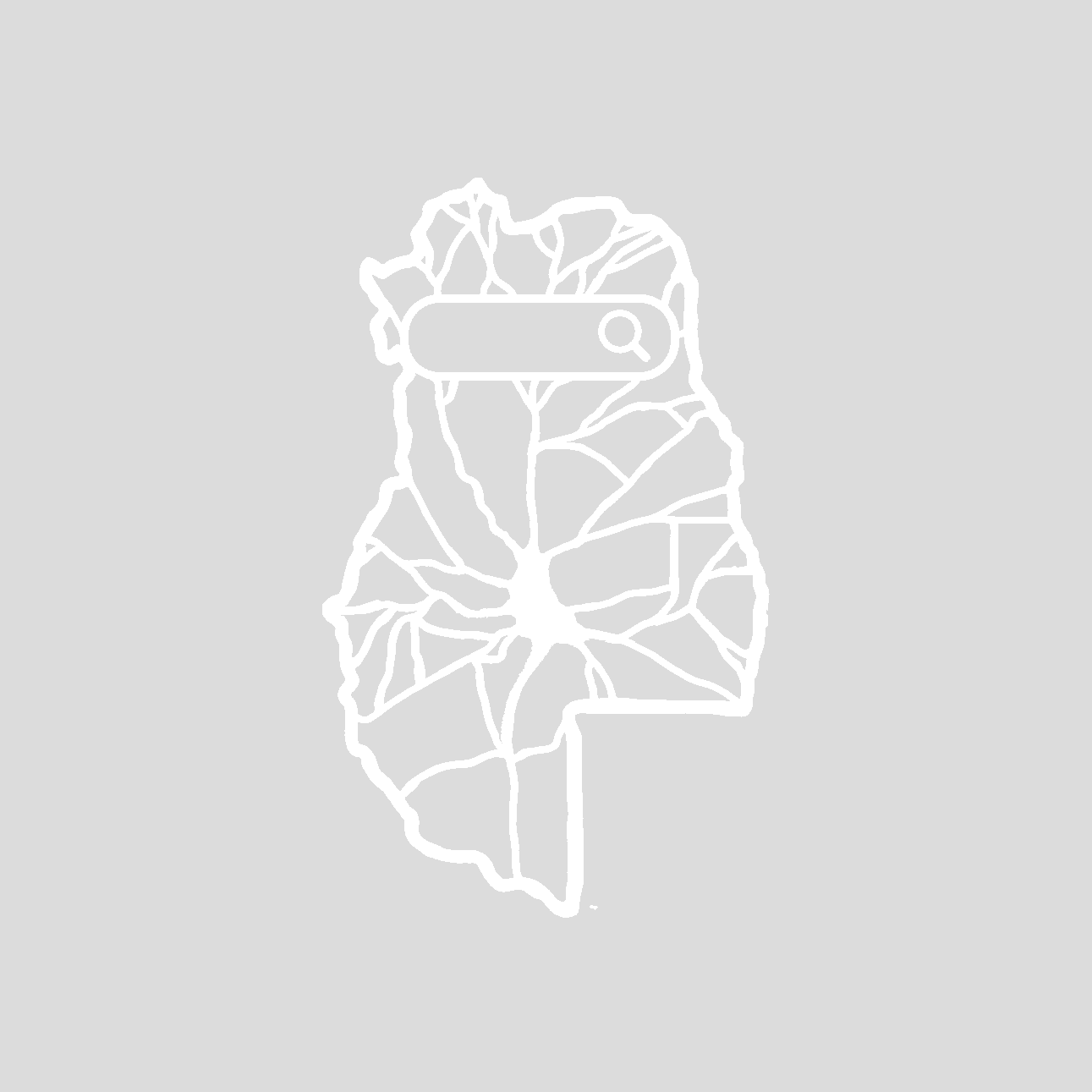 Mendoza Crazy escuela de rollers