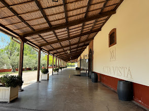 Alta Vista Wines