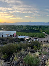 Bodega Viejo Isaias