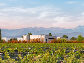 Viña Cobos bodega