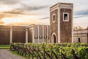 Bodega Los toneles