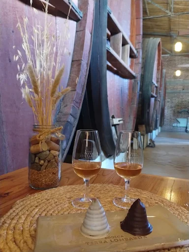 BODEGA TERRA LOMBARDA