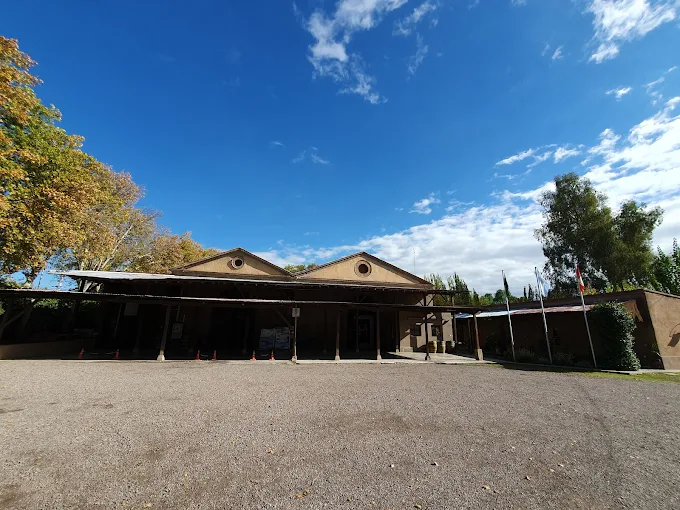 Bodega-Alandes