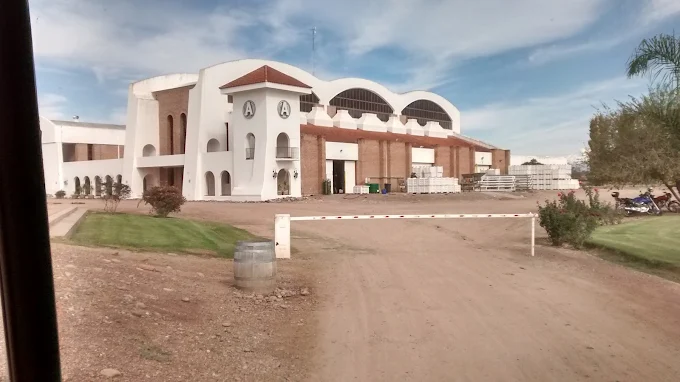Bodega Argento