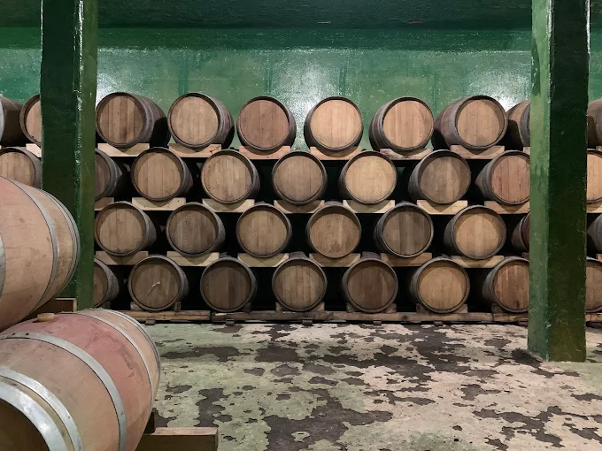 Bodega Buono B.