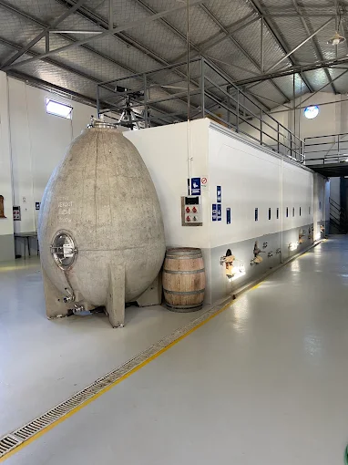 Bodega CarinaE