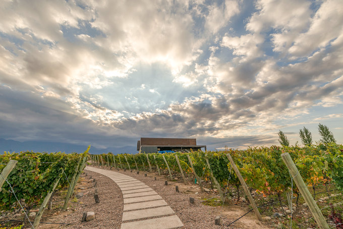 Bodega Corazón Del Sol