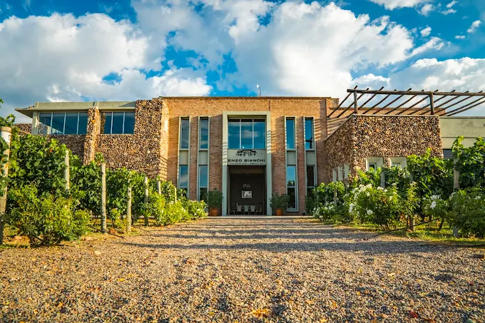 Bodega Enzo Bianchi