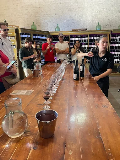 Bodega Familia Cecchin Vinos Naturales