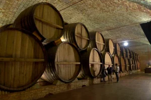 Bodega Finca Cuadro Benegas S.A