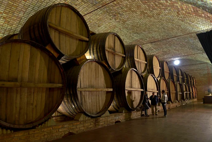 Bodega Finca Cuadro Benegas S.A
