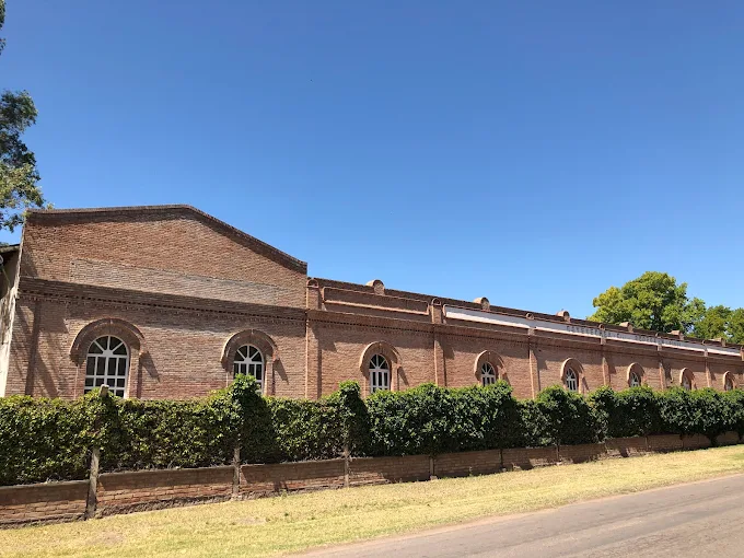 Bodega Goyenechea
