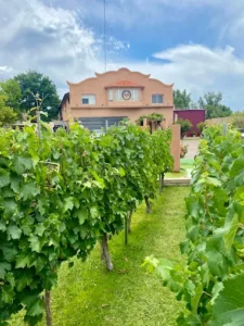 Bodega Hinojosa