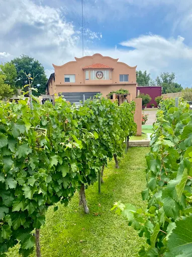 Bodega Hinojosa