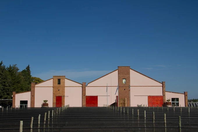 Bodega Iaccarini