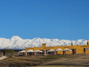 Bodega Jean Bousquet