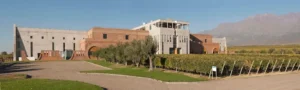 Bodega-Monteviejo