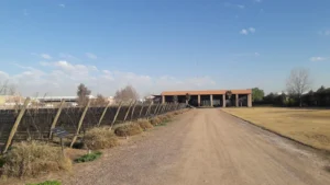 Bodega Navarro Correas