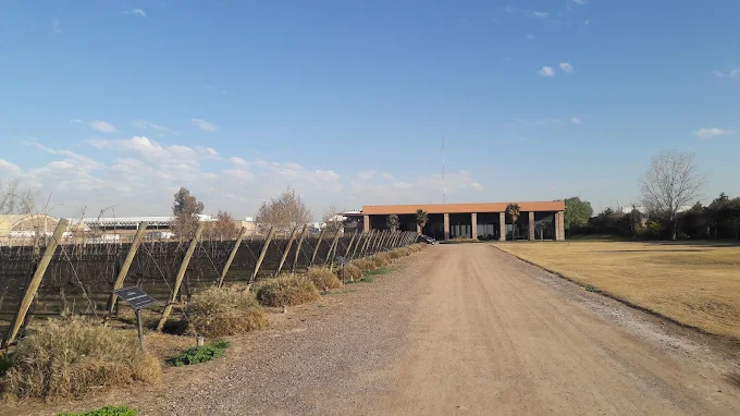 Bodega Navarro Correas