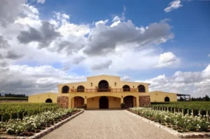 Bodega-Piedra-Negra-Lurton