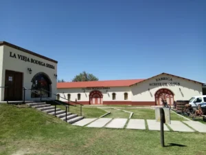 Bodega Serra