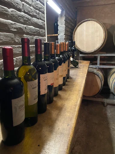 Bodega Viña el Cerno