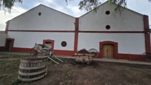 Bodega-el-Rosal