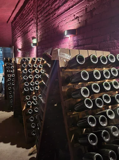Bodegas Y Viñedos Familia Perulan