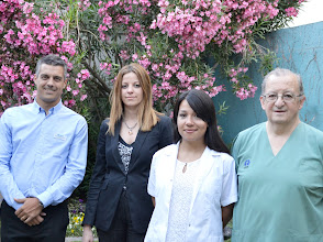 CEDIM-Estudios-Digestivos-Gastroenterologia