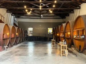 Casa Corbel - Bodega Sillon