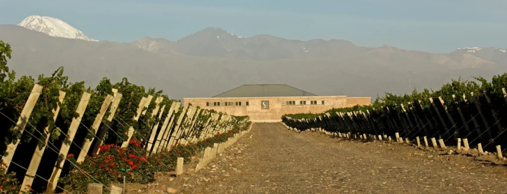 FINCA SOPHENIA