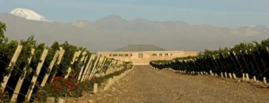 FINCA-SOPHENIA