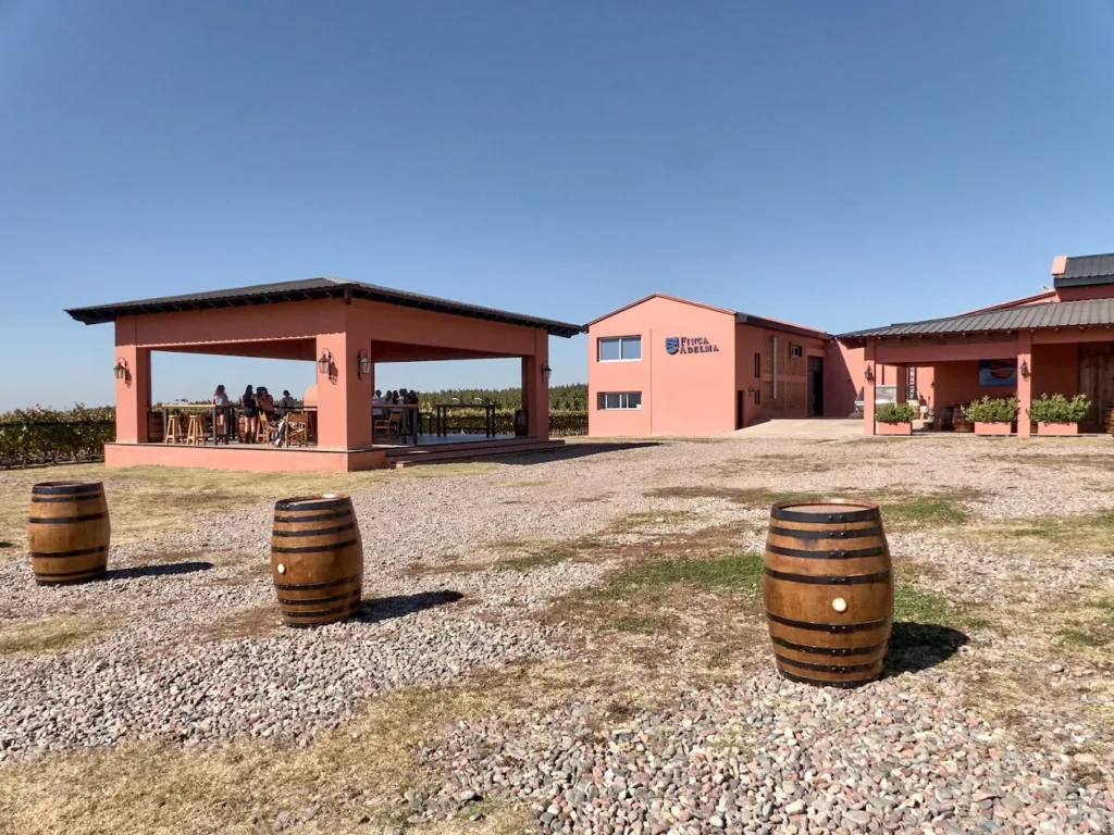 Finca Adelma vinos del alma