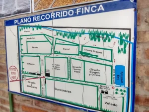 Finca Y Bodega Rubio