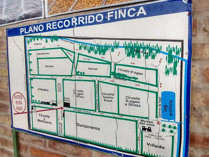 Finca Y Bodega Rubio