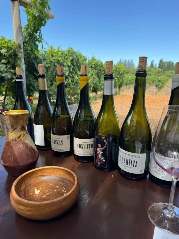 Michelini i Mufatto Cantina