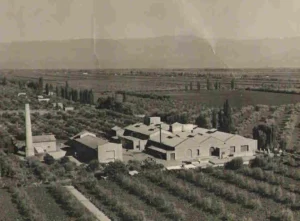 Nerviani-Family-Wines