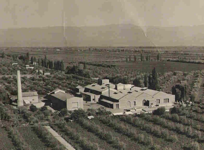 Nerviani Family Wines