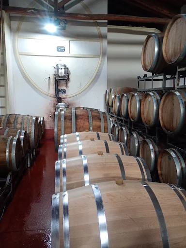 Bodega SELADA WINES