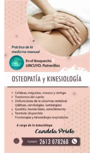 flyer de kinesiologa en potrerilos lujan de cuyo provincia de mendoza argentina donde hay unas manos haciendo masajes y brinda informacion de contacto y tratamientos que brinda en consultorio ubicado en potrerillos